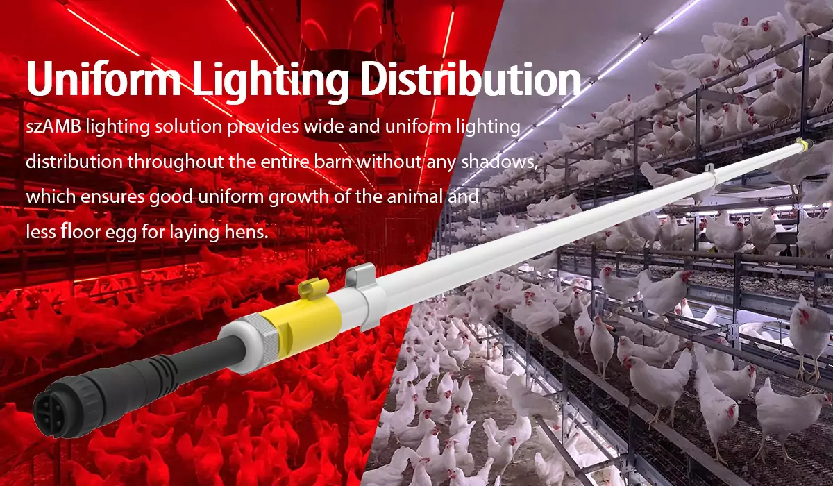 led barn lights