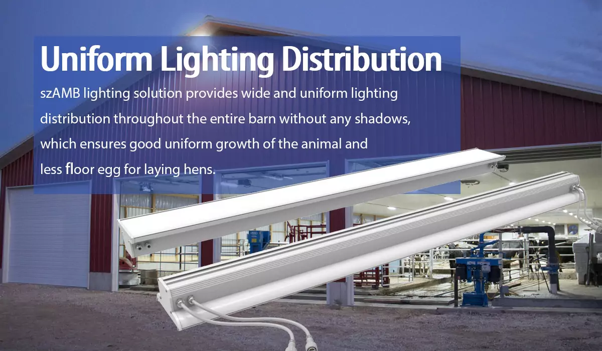 led barn lights