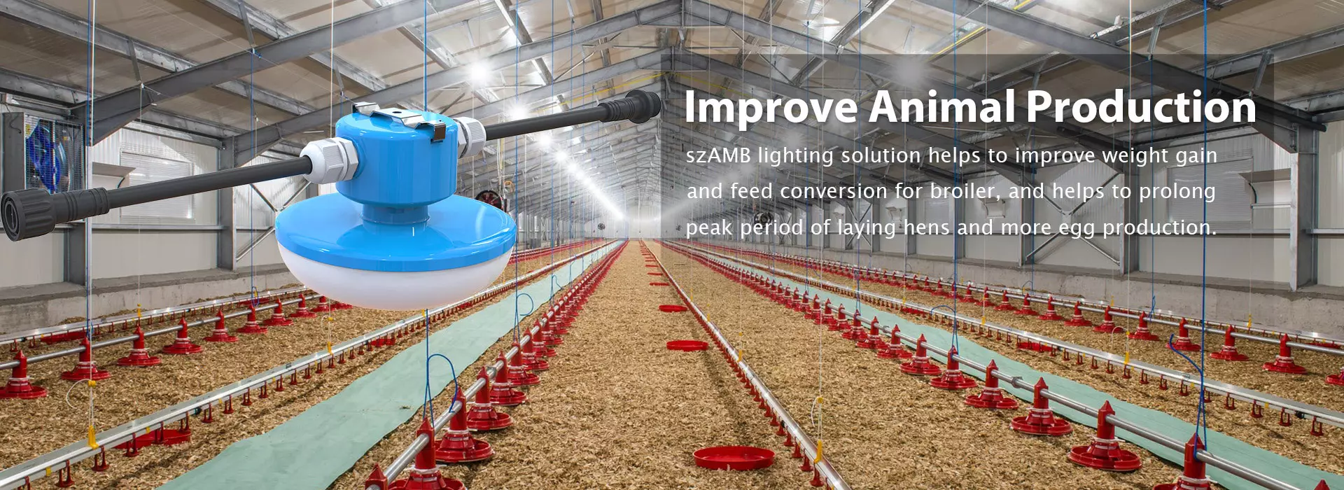 led barn lights
