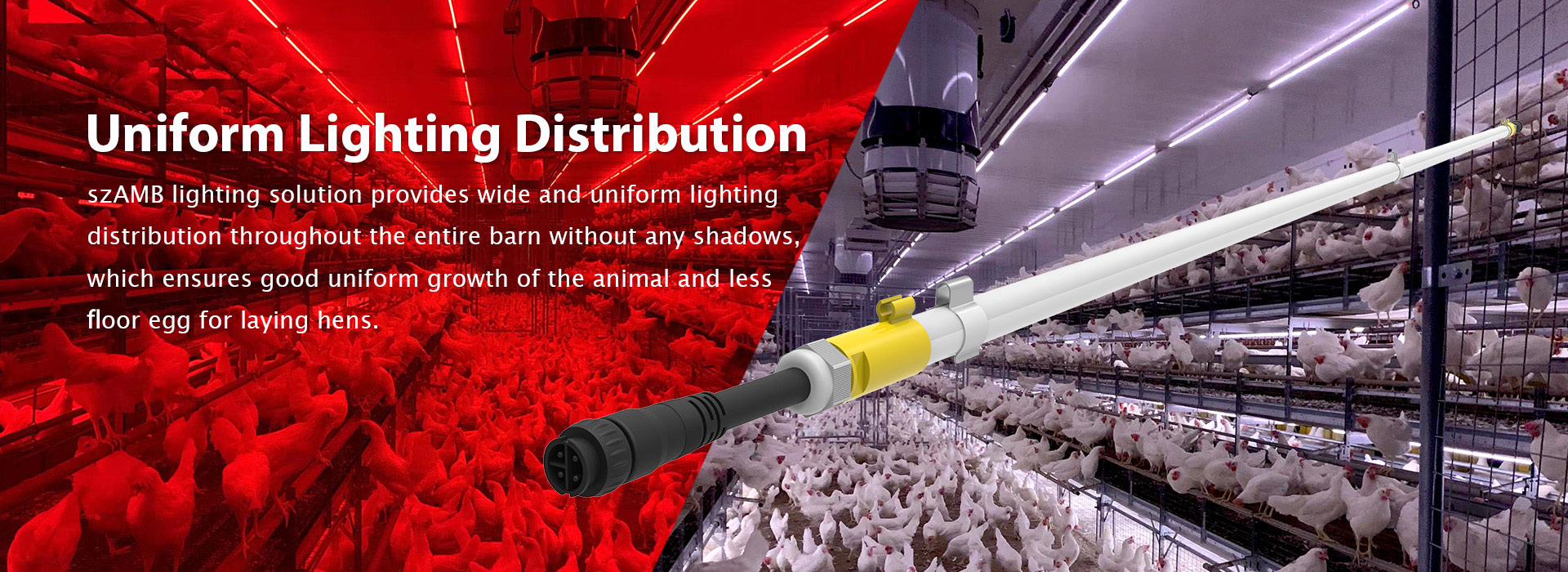 led barn lights