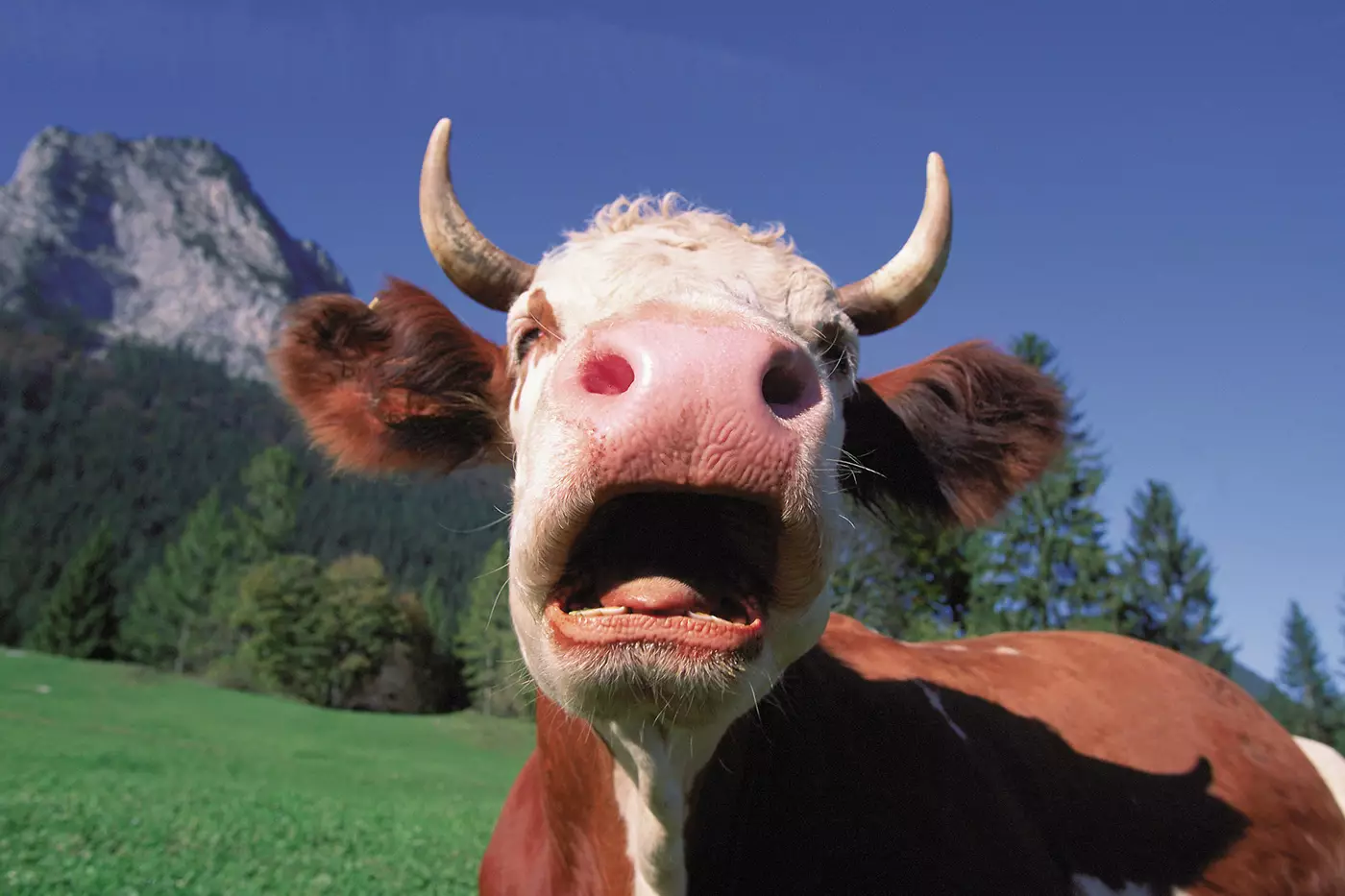 703dad701595b43c2edcfa58e468a9c