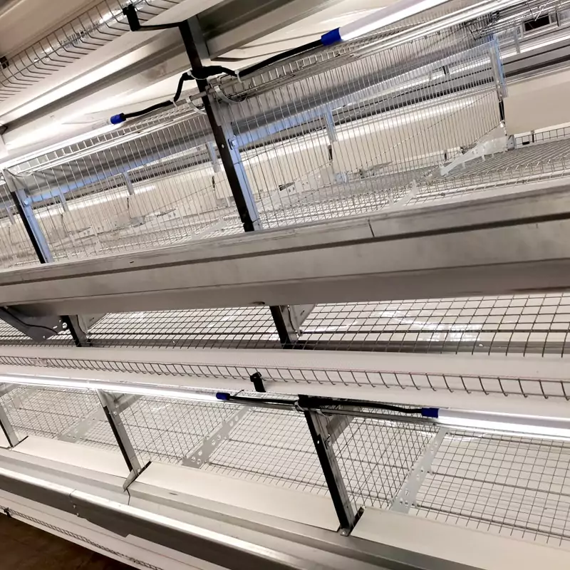 chicken coop lighting for egg production
