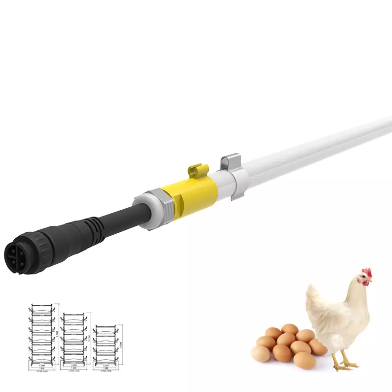 Are LED Lights Suitable for Chickens? Exploring the Benefits for Poultry Farms