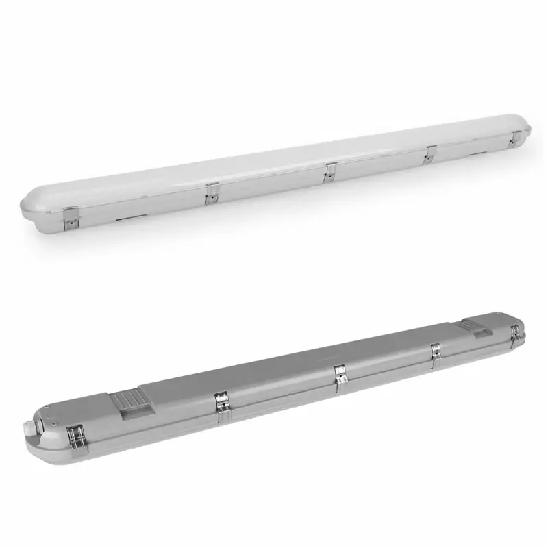 Why LED Lighting Is Completely Safe and Beneficial for Modern Swine Operations
