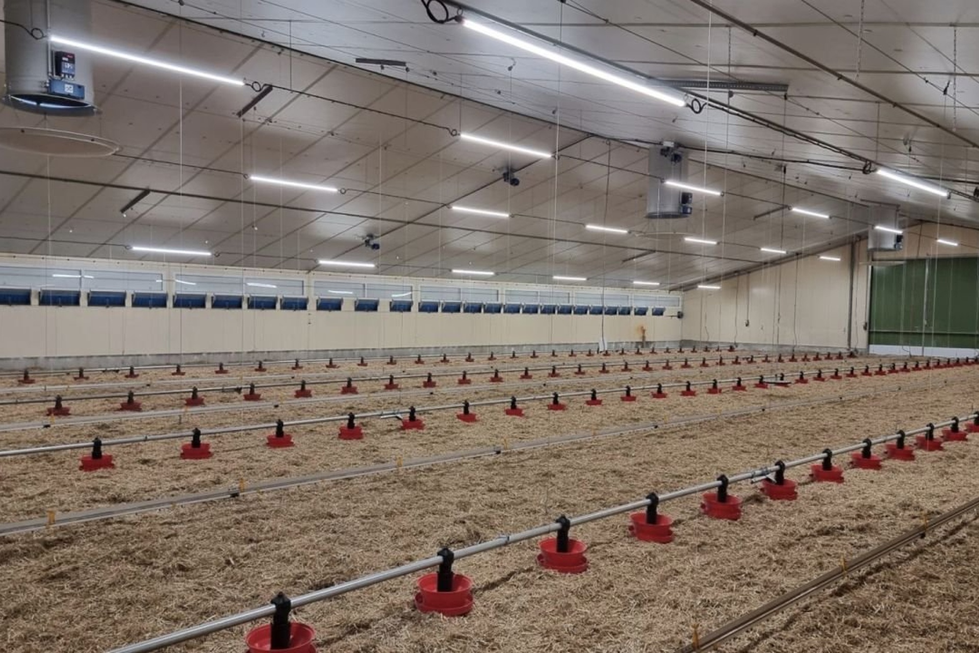 4_resized poultry lighting for broiler houses