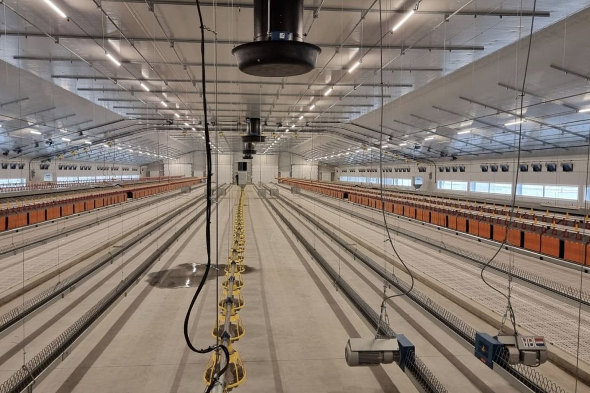 52ac0981_resized Poultry lighting systems for breeder houses